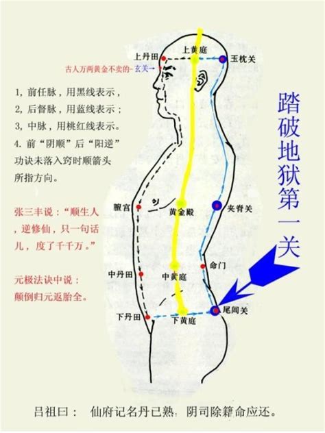 九穴|九竅(キュウキョウ)とは？ 意味や使い方